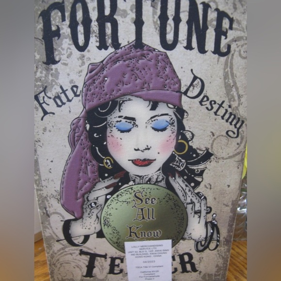 New XL Halloween Decor Fortune Teller Mystic Gypsy Secret Stash Book Box 10.25” - Picture 7 of 7